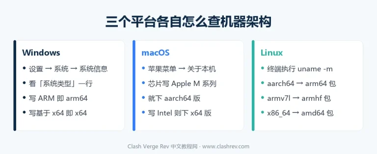 Windows、macOS、Linux 三个平台查看机器是 arm64 还是 x64 架构的方法